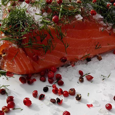 Graved Lachs mit Dill und Rosa Beeren